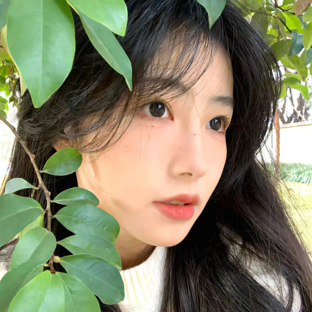 欧美视野